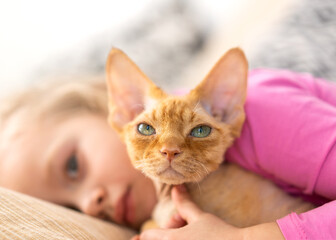 portrait of a little girl with a ginger cat