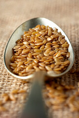 flax seeds in a metalic spoon