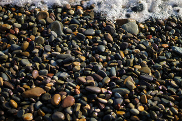 wet pebbles on the shore of a clean beach.