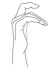 Hand. Hand with bent fingers - vector linear illustration for coloring. Woman's brush. Outline.