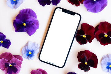 Pansy flowers styled stock scene