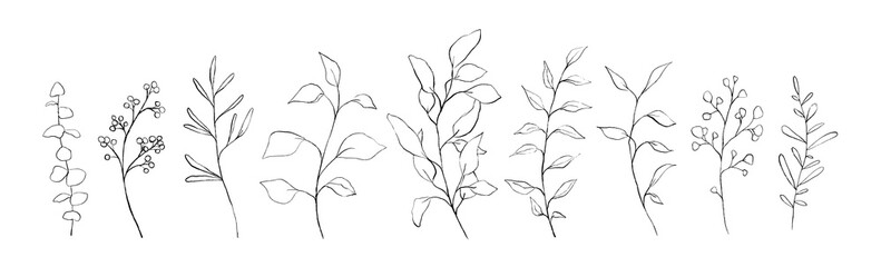 Set of botanical line art floral leaves, plants. Hand drawn sketch branches isolated on white background. Vector illustration