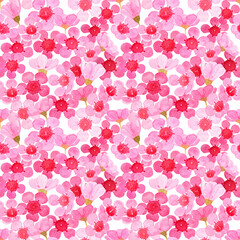Pink petal Wax flower blossom pattern illustration watercolor painted
