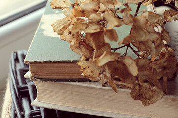 stack of old vintage books and dry flowers