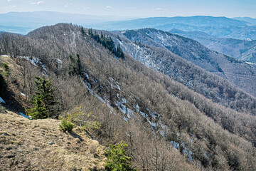 Fototapeta na wymiar Deciduous forest with snow, Klak hill, Slovakia, springtime scene