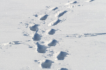 human footprints in deep snow