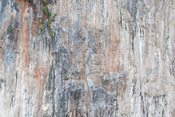 Surface of limestone rock