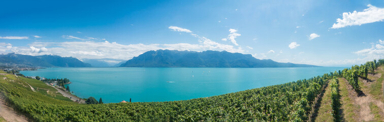 Lavaux, vignoble en terrasses - suisse