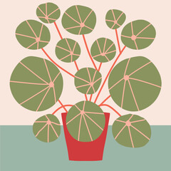 Pilea in pot flat vector illustration. domestic decorative plant. Beautiful thermophilic plant in flowerpot 