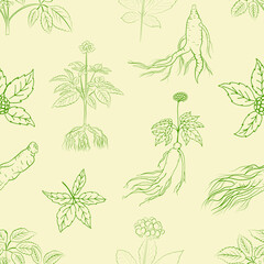 Seamless pattern with leaves and root of ginseng. Ginseng root and berry vector drawing. A sketch of a medicinal plant. Linear graphic design. 