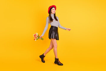 Fototapeta na wymiar Full size profile side photo of happy nice woman look walk empty space hold tulips isolated on yellow color background