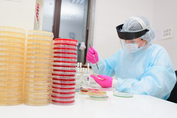 Petri dishes in the bacteriological laboratory.2019-nCoV  coronavirus  China  © Evgeniy Kalinovskiy