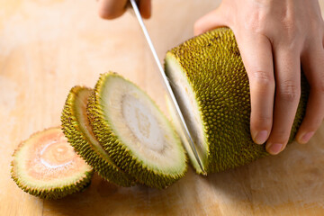 Hand holding young jackfruit and cutting by kitchen knife on wooden board, Food ingredient in...