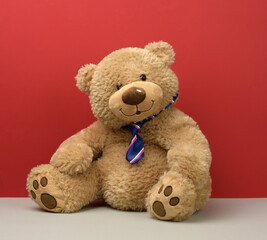 teddy bear in a tie sits on a red background