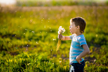 Happy childhood, summer portraits of a blonde girl, outdoor kids, sunset and lilac blossom, selective focus
