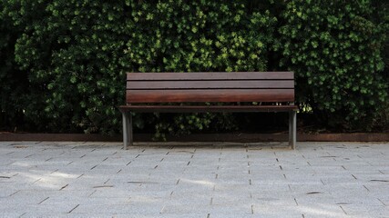 street bench against green garden background
