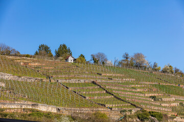 Herbst in Esslingen am Neckar