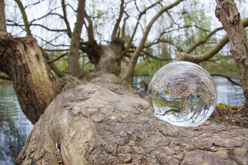 Glaskugel mit Baum