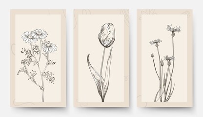 Vintage wedding card template. Floral banners, posters with flowers. Tulip chamomile, wild meadow plants vector background