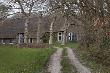 Fototapeta na wymiar Historic Farm and country road. Dirtroad. Rheebruggen Uffelte Drenthe Netherlands.