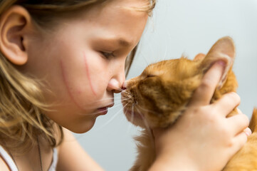 Child playing with cat at home. Kid and pet nose to nose. Little girl is scratched by her ginger color cat. Cats tree and scratcher in living room interior. Children play and feed kitten. Home animals