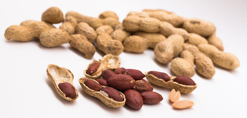 peanut kernels on a white background