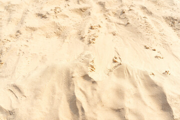 Sand texture background on the beach. Light beige sea sand texture pattern.