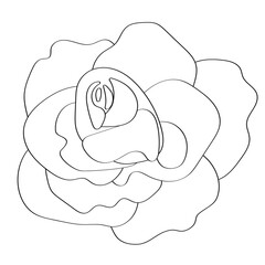 The rose is drawn in black outline, a fragrant summer flower. Icon symbol for the decoration of the design of a romantic postcard.