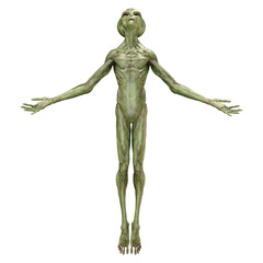 3D Rendering Green Alien on White