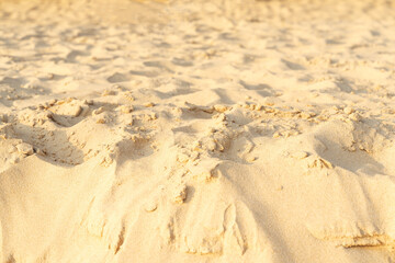 Sand on the beach for background. Brown beach sand texture as background.