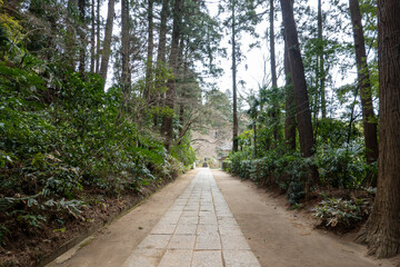 観福寺の道