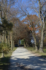 autumn in the park