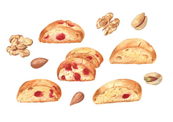 Biscotti Italian cookies, walnuts, almond and pistachio set on white isolated background. Watercolor illustration.
