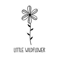 Little Wildflower. Outline drawing. Line vector illustration.  Isolated on white background. Design of invitations, wedding or greeting cards. 