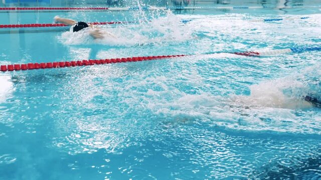 Slow Motion Of Two Butterfly Swimmers Crossing The Pool