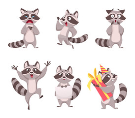 Raccoon characters. Cartoon funny wild animal in forest happy mammal exact vector zoo illustrations