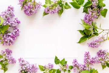 Frame of purple flowers - spring lilac branches with space for text