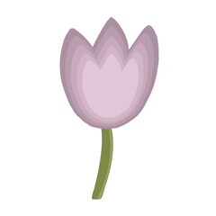 Fototapeta premium Tulip Spring Flower Illustration, Hand-painted