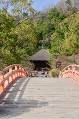 Fototapeta premium 春の白水阿弥陀堂（福島県・いわき市）