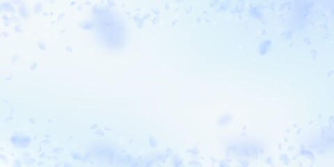 Light blue flower petals falling down. Pleasing ro