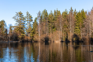 Fototapeta na wymiar Scandinavian nature in springtime, forest, river, nordic countries, Finland