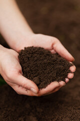 Black soil in hands. Fertile mud, ground composition.