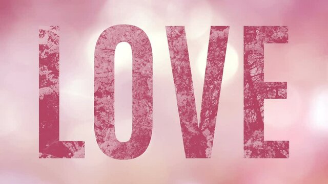Dark pink word Love showing rotating flowering bushes, over a colorful pink and glowing background with bokeh white and yellow lights sliding. Sequence looped seamless, for e-card, celebration, invita