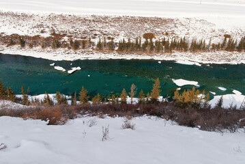 Ice on the river floating ice floes of the river are being released spring has come in the Altai mountains Katun river