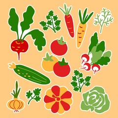 Vector set of vegetable stickers on an isolated background.Tomatoes, cabbage, zucchini, onions, beets, greens, carrots, pumpkin - elements of the kitchen background,paper,packaging,vegetarian decor, p