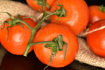 A group of several ripe, bright red, organic, tasty cocktail tomatoes, close-up, with a jute bag, on a black background.