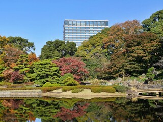 Obraz premium 江戸城1 日本庭園