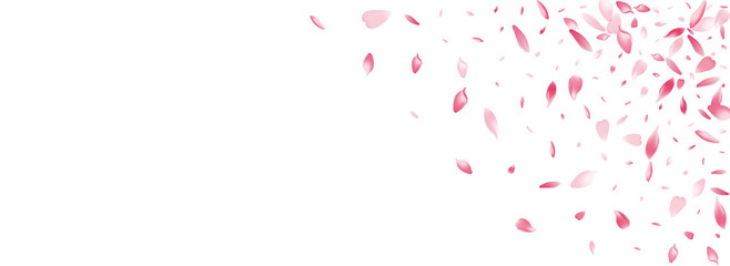 Purple Lotus Petal Vector Panoramic Background.
