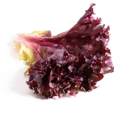 Red coral salad isolated on the white background