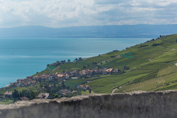 Fototapeta na wymiar Lavaux, vignoble en terrasses - suisse